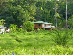 honneymoon/jungleadventurehoneymoon.htm