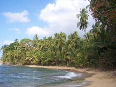 Punta Uva Beach