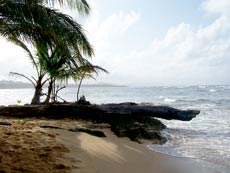 Punta Uva Beach
