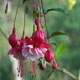  Costa Rica Urlaub und Costa Rica Reisen 