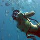 Costa Rica Vacations en Costa Rica Reizen