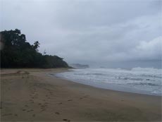 Costa Rica Honeymoon Cocles

Limon