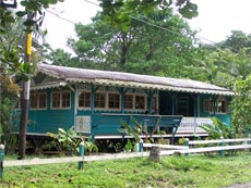 Costa Rica Mansanillo 1

Limon