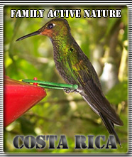 Costa rica family trip and Family Active Nature