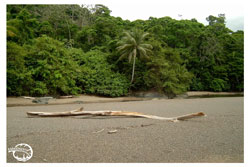 Centro Neotropico Sarapiquis