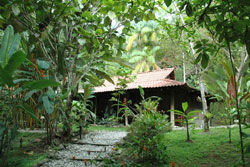 Esquinas Rainforest Lodge 2