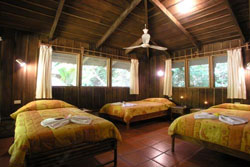 Esquinas Rainforest Lodge 5