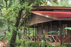 Pachira Lodge Tortuguero