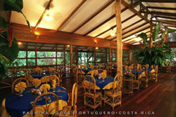 Pachira Lodge Tortuguero 4