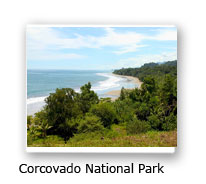 Corcovado National Park