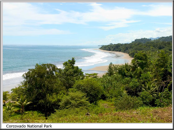 MANUEL ANTONIO BEACH COSTA RICA 