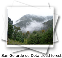 San Gerardo Dota Cloud Forest