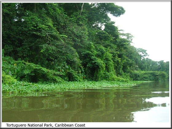 AEREAL TRAM COSTA RICA