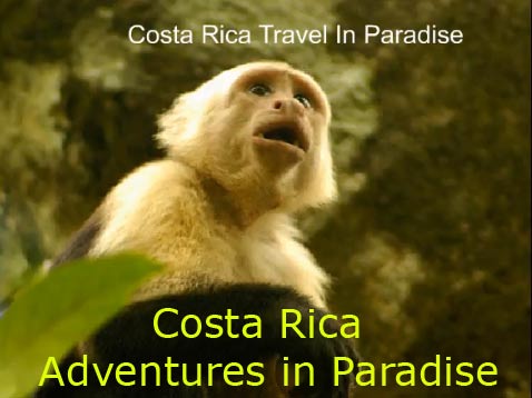 Adventures in Paradise