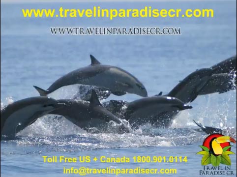 Costa Rica Free Video