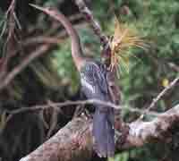 Bird Ca&ntilde;o Negro National Wildlife Refuge