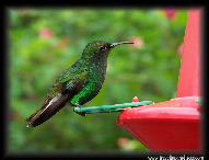 Ecotourisim Costa Rica