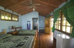 Las Cotinga Drake Bay