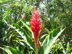 Costa Rica Photo Gallery