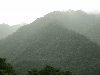 Costa Rica Jungle Tropical Rainforest