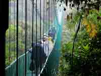 Skyway Monteverde
