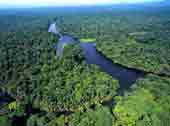 Tortuguero National Park