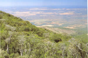 Guanacaste Costa Rica