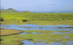 Palo Verde Costa Rica