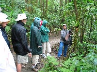 monteverde costa rica Cloud Forest