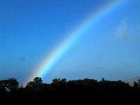 Monteverde Rainbow