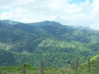 Monteverde View